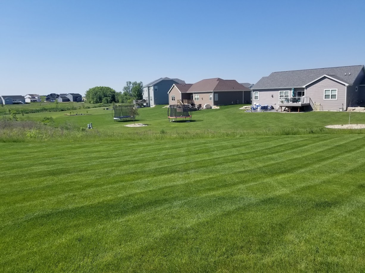 Lawn Care Services at Madison