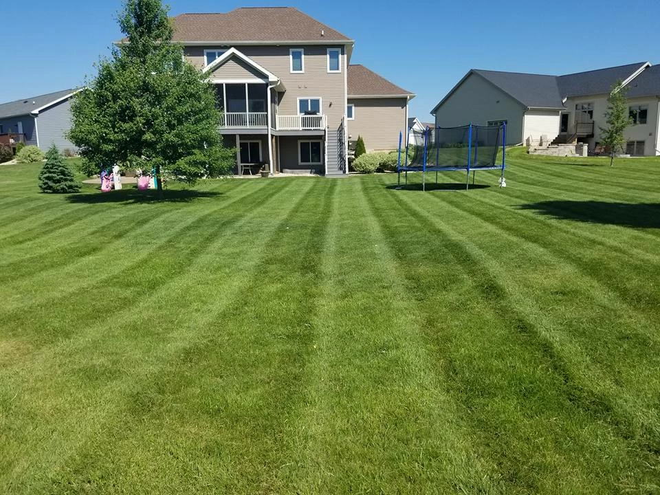 lush beautiful lawn