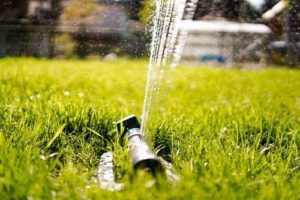 sprinkler on lawn