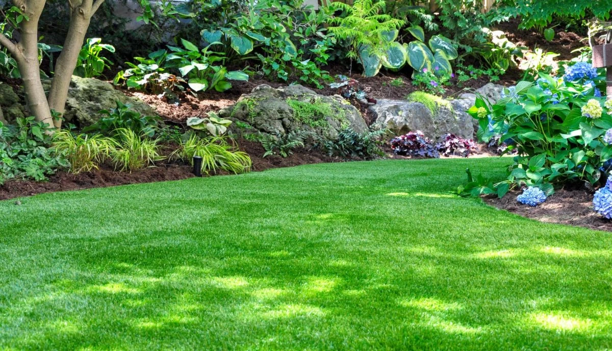 Lawn Care and Maintenance