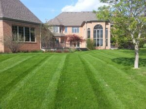 summer lawn care