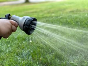 summer lawn care watering