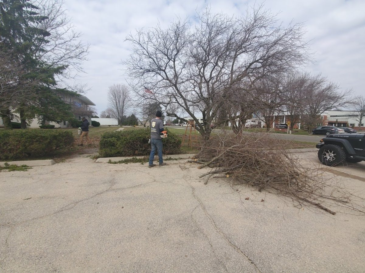 yard clean-up companies