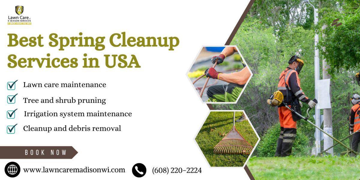 Spring Cleaning Services