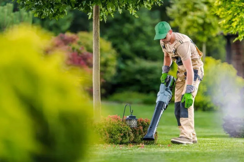 Yard Clean Up Service