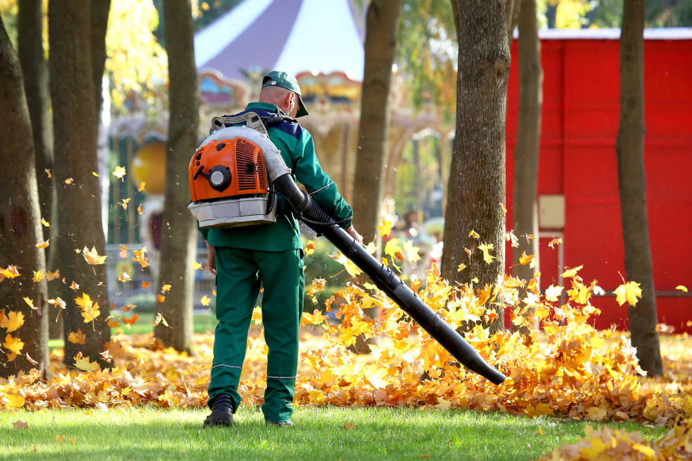 Fall Cleanup Services